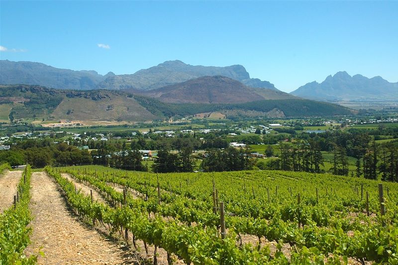 Franschhoek - Cap-Occidental - Afrique du Sud