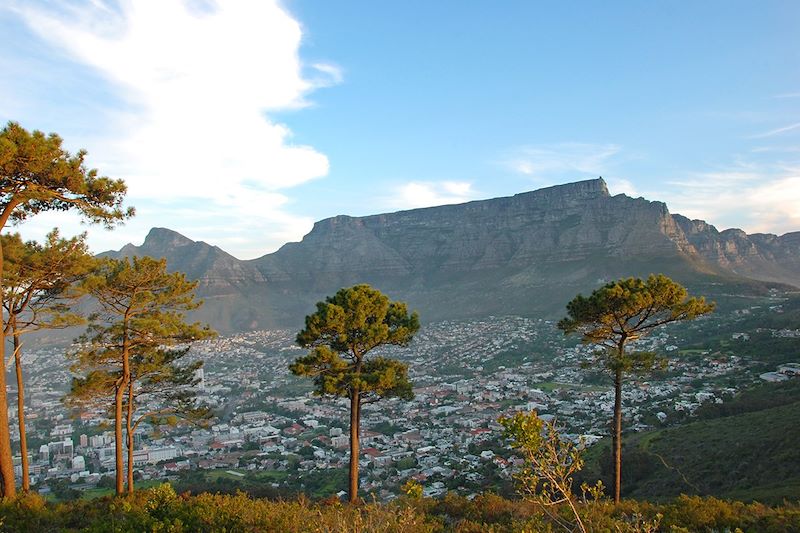 Montagne de la Table vue de Signal Hill - Afrique du Sud