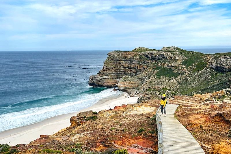 Cap de Bonne-Espérance - Cap-Occidental - Afrique du Sud