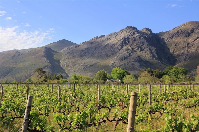 Route des vins - Franschhoek - Afrique du Sud