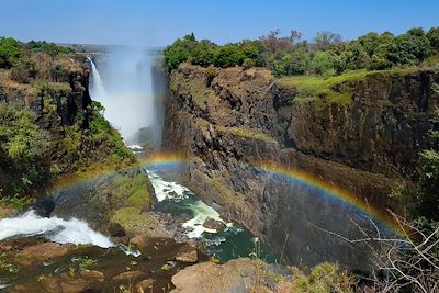 voyage Du Cap à Victoria Falls !