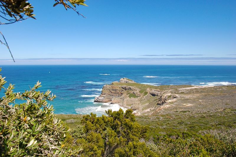 Cape Point - Afrique du Sud