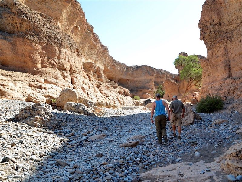 Afrique du sud & Namibie, aventure australe