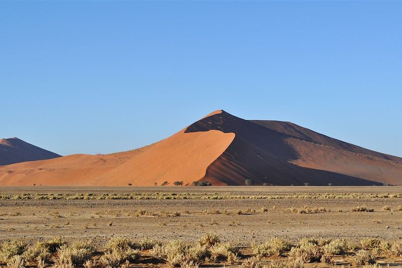 Dead Vlei - Dunes de Sossusvlei - Parc national du Namib-Naukluft - Namibie