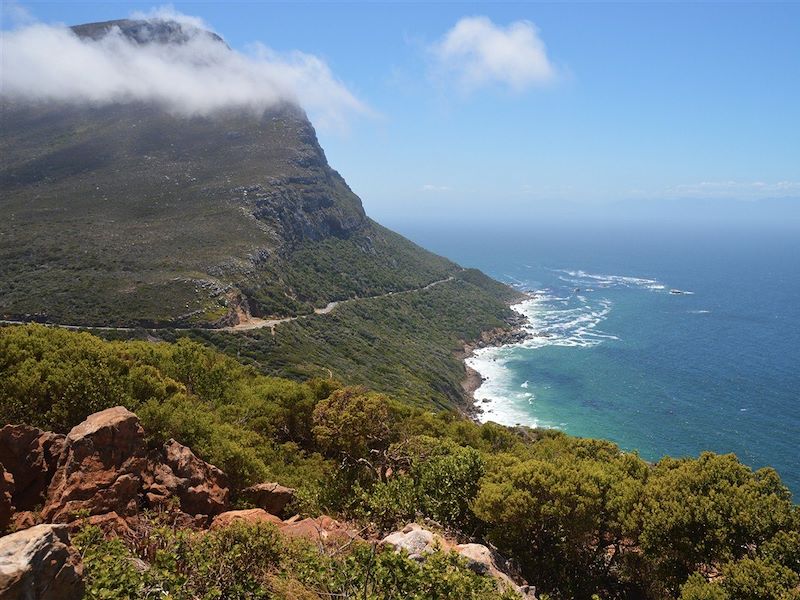 Cap de Bonne-Espérance - Voyage en Afrique du Sud