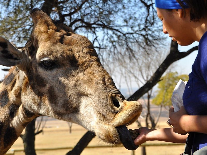 Afrique du sud & Namibie, aventure australe