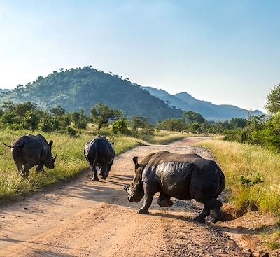 Voyages sur mesure Afrique du Sud