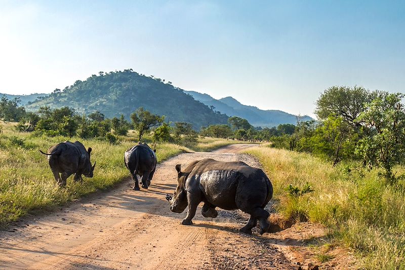 Voyage en Afrique du Sud et Namibie, du Kruger au désert du Namib pour découverte des plus beaux sites d'Afrique Australe