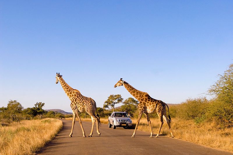 Safari en 4x4 dans le parc national Kruger - Afrique du Sud