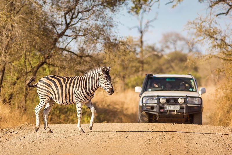 Safari en 4x4 dans le parc national Kruger - Afrique du Sud