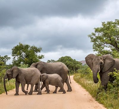 Voyages sur mesure Afrique du Sud