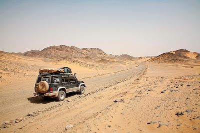 voyage Rallye / Raid du Cap au Caire
