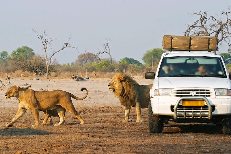 Parc national de Chobe - Botswana