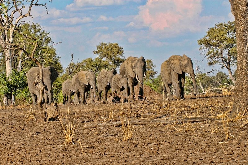 Au bout des pistes... Bangweulu