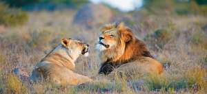 voyage Zimbabwe
