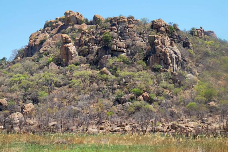 Safari au cœur de l'ancienne Rhodésie