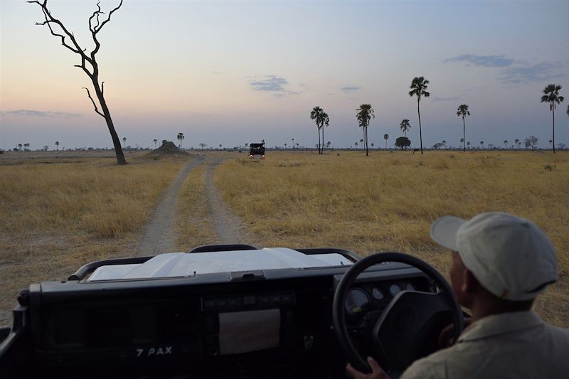 Hwange - Province de Matabeleland septentrional - Zimbabwe