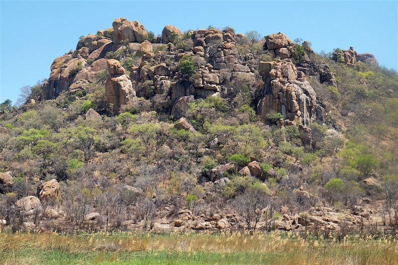 Safari au cœur de l'ancienne Rhodésie