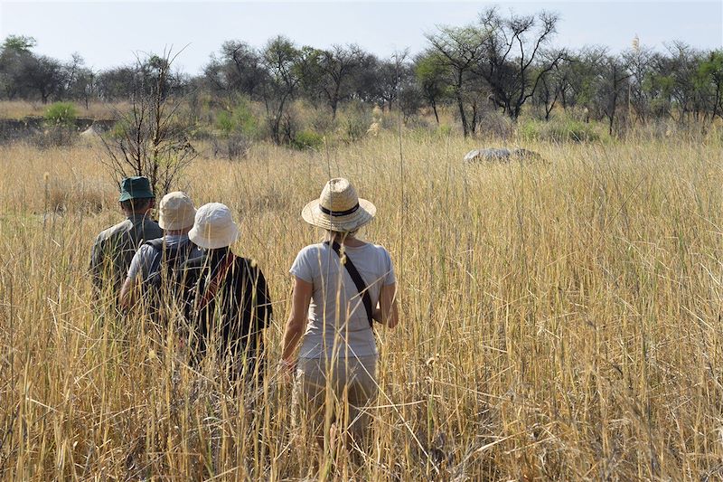 Safari à Matobo - Province de Matabeleland septentrional - Zimbabwe