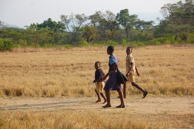 Trésors du Zimbabwe 