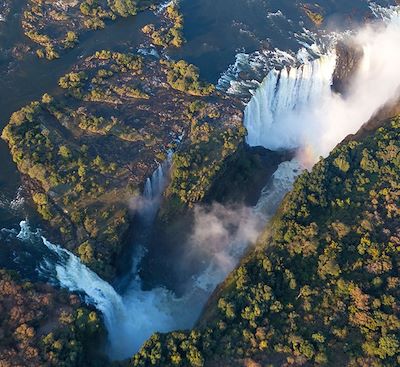 Safari Zimbabwe