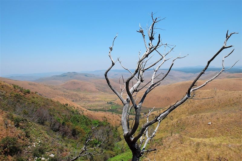 Nyangani - Manicaland - Zimbabwe