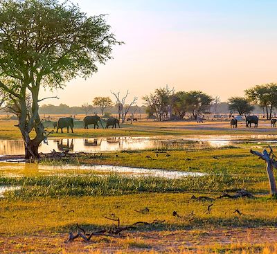Circuits en petit groupe Zimbabwe
