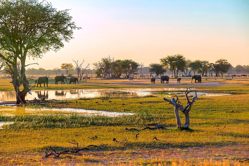 Zimbabwe entre grandeur et nature !