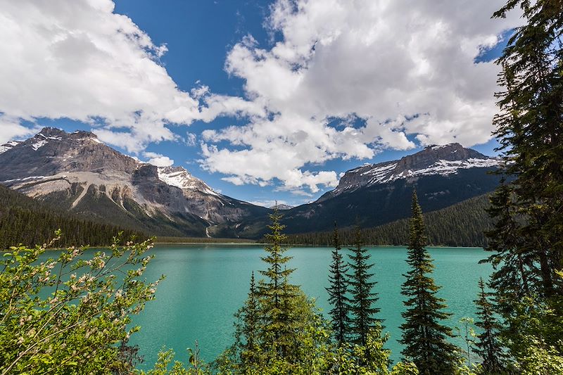 Parc national de Yoho - Colombie-Britannique - Canada