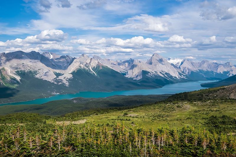 Lac Maligne - Parc national Jasper - Alberta- Canada