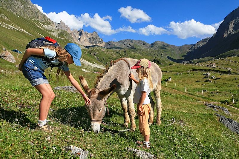 Vagabond'ânes en Chartreuse