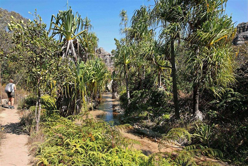 Parc national de l'Isalo - Région d'Ihorombe - Madagascar