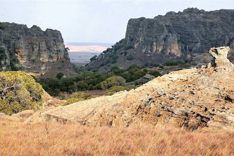 Parc national de l'Isalo - Région d'Ihorombe - Madagascar
