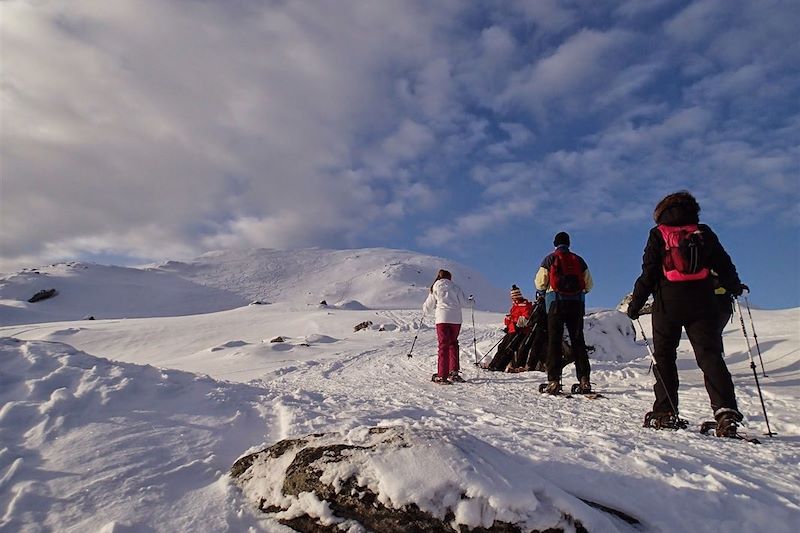 Balade en raquettes à Oteren - Tromso - Comté de Troms - Norvège 