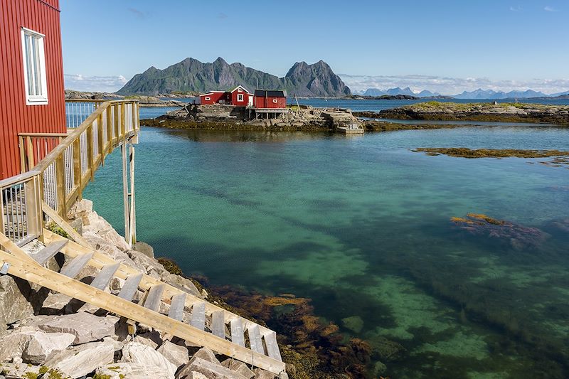 Les Lofoten, les baleines et moi