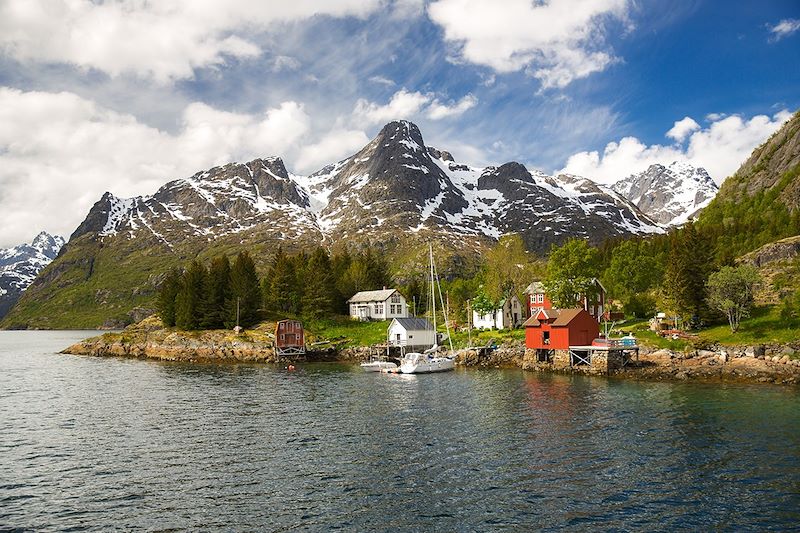 Un grand bain dans les Lofoten !