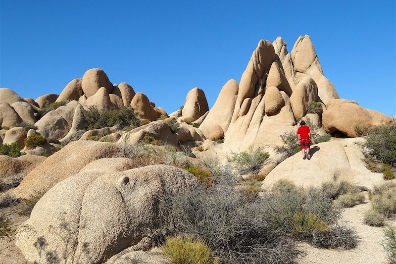 Parc national de Joshua Tree - États-Unis