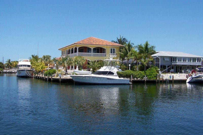 Key Largo - Crocodiles - Floride