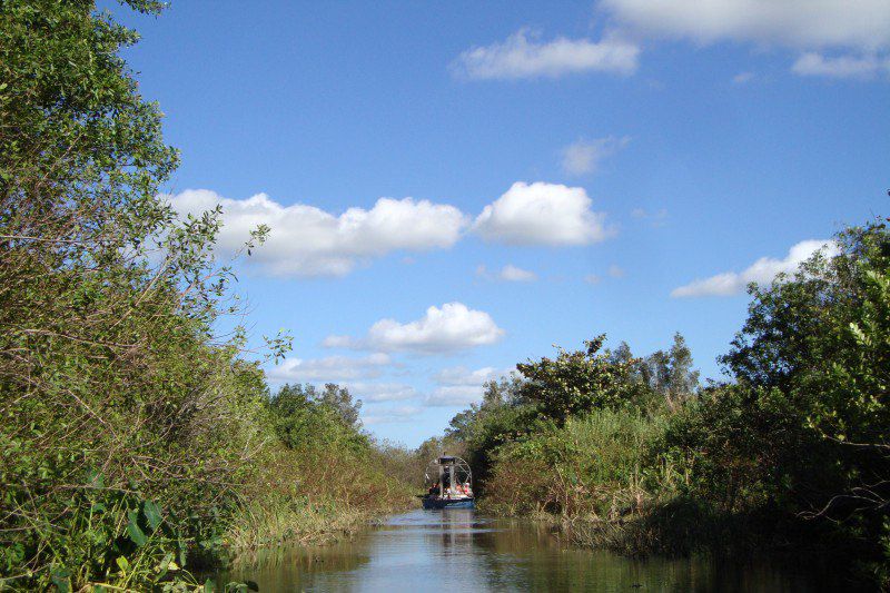 Everglades - Floride - Etats-Unis