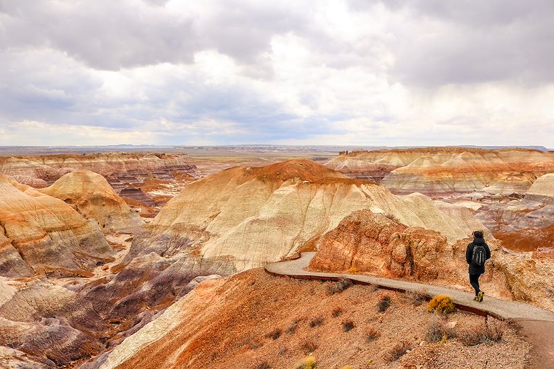 Blue Mesa - Parc national de Petrified Forest - États-Unis