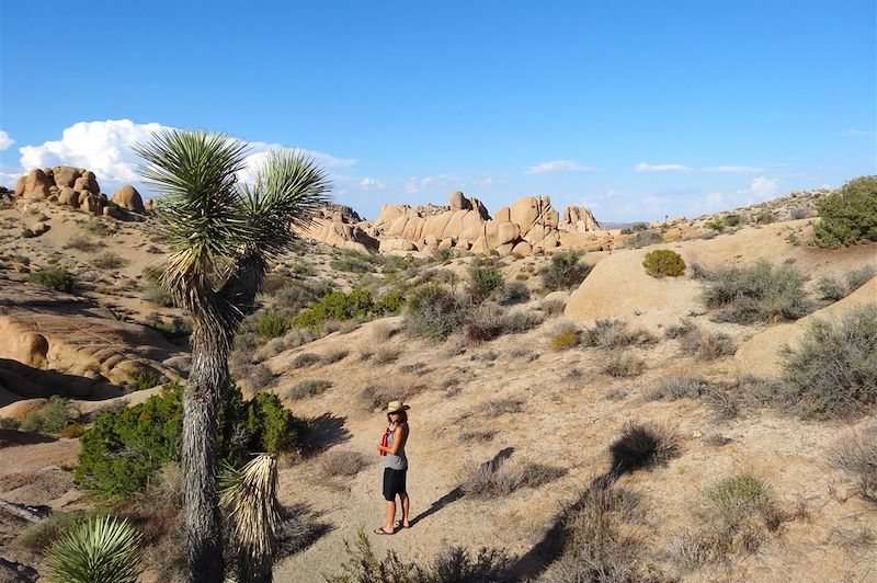 Parc national de Joshua Tree - États-Unis