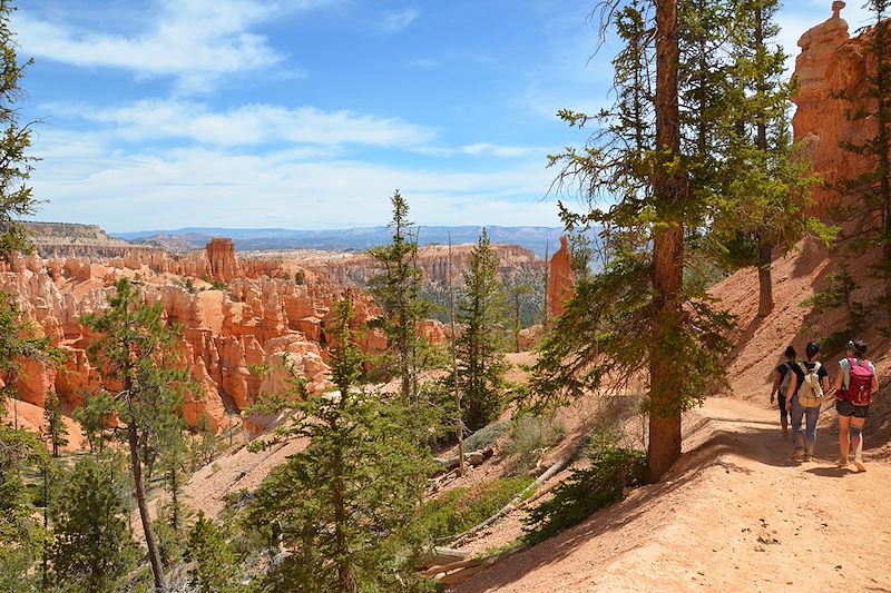 Parc national de Bryce Canyon - Utah - États-unis