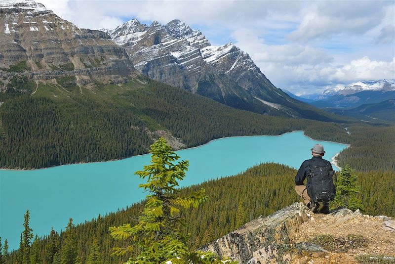 Randonnée autour du Peytoe - Parc National Banff  - Les Rocheuses - Alberta - Canada 