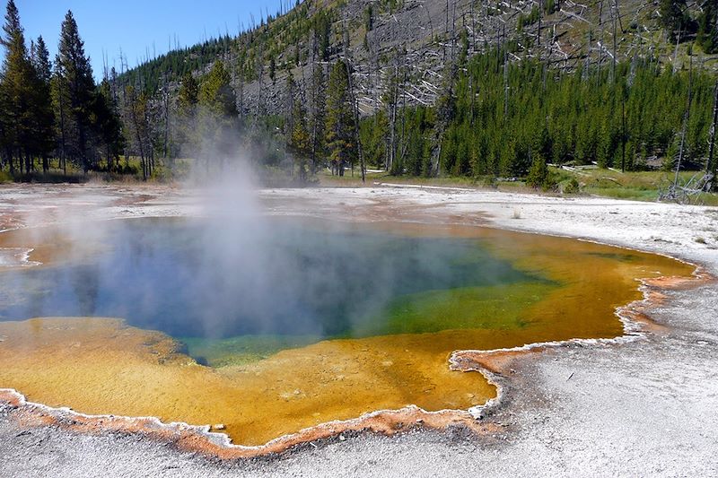 Parc National de Yellowstone - États-unis