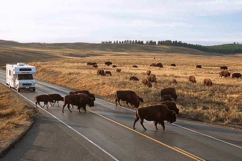 Like a Yellowstone ! 