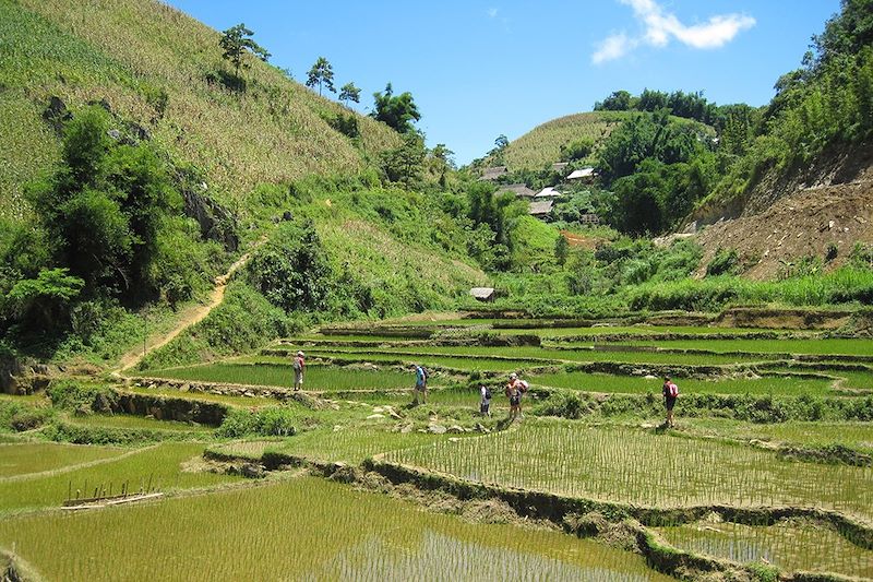 Trek à Mai Chau - Vietnam