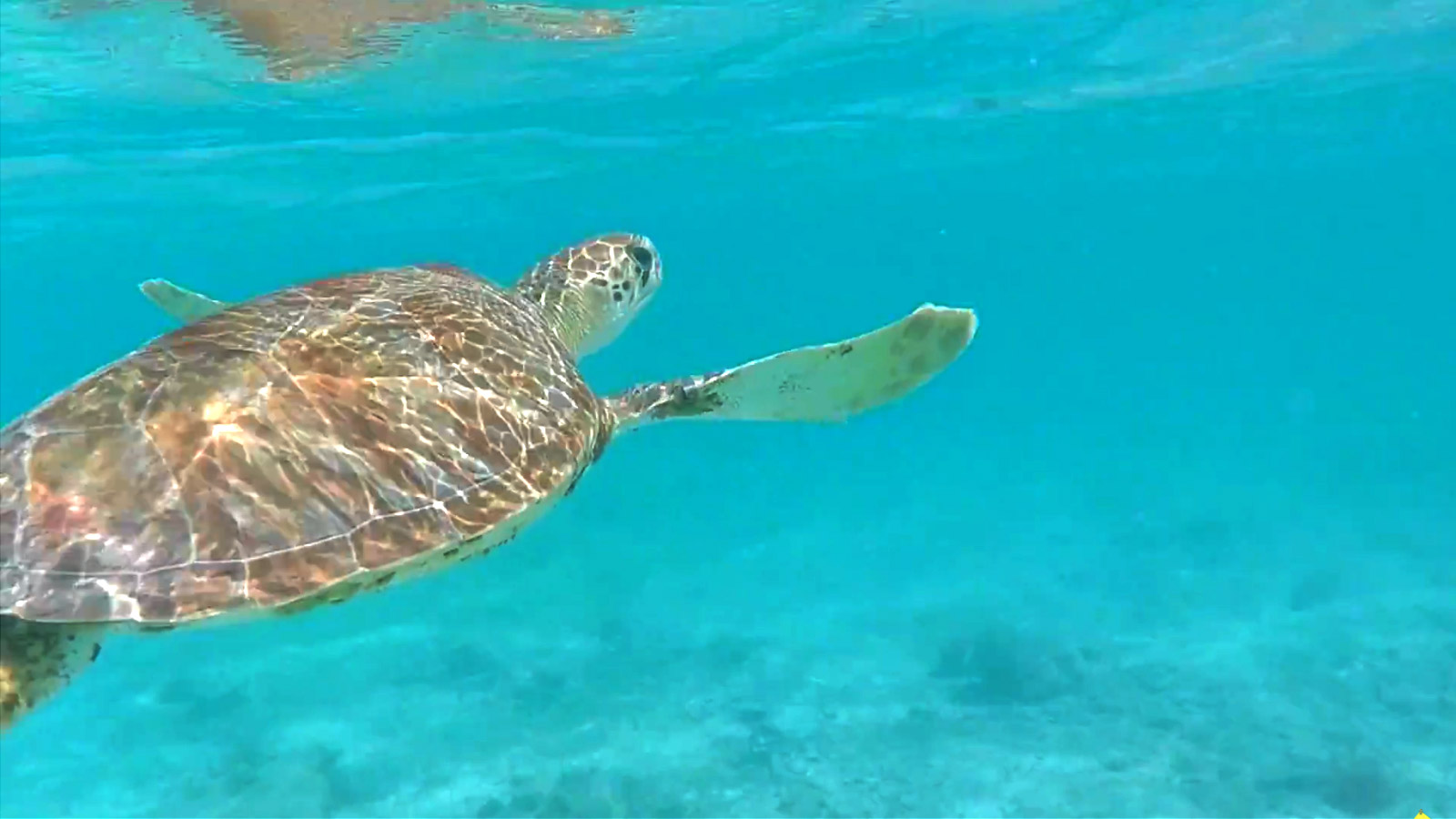 Capture video voyage Grenadines Nomade Aventure