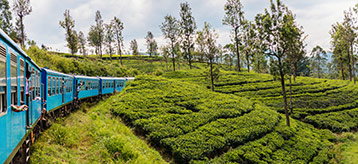 voyage SRI LANKA