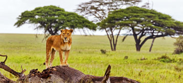 voyage TANZANIE