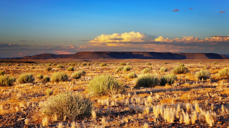 Vue panoramique du désert du Kalahari